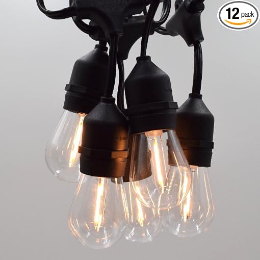 Hometown Evolution, Inc. E26 Outdoor Commercial String Lights with Suspended Socket for Weatherproof Heavy Duty Vintage Outside Lighting (S14 LED Plastic, 24 Foot 12 Socket)
