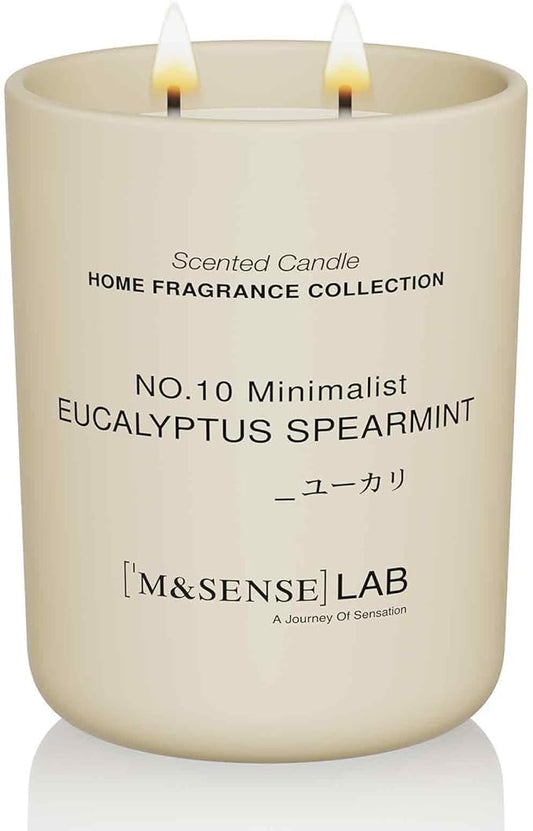 M&SENSE Natural Soy Candle| Eucalyptus Spearmint | 16.6 oz, 95H Burn | Minimalist Scented Candle for Relaxation, Gifting, Home Décor | for Bedroom, Office, Party Large