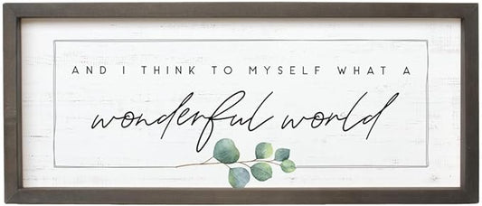 Simply Said, INC Farmhouse Frames What a Wonderful World Wooden Sign, Rustic Framed Wall Art, Inspirational Farmhouse Home Decor, 10 x 24 Inch