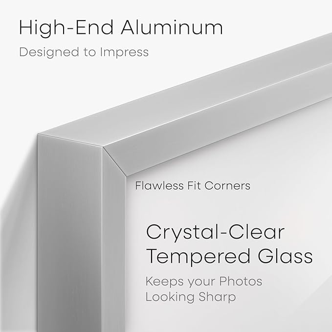Homeforia A3 Picture Frame Silver, High End Metal 11.7 x 16.5 inch Poster Frames with Mat 8.3 by 11.7 for Photo, A3 Size Frames Matted to A4 Art, 11.7x16.5 Wall Hanging Frame, Tempered Glass, Set of 1