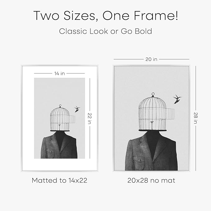 Homeforia 20x28 Picture Frame Silver, High End Metal 20 x 28 Poster Frame with Mat 14 x 22 for Photo, 20x28 Silver Frames Matted to 14x22 Print, 28x20 Hanging Frame, Tempered Glass, Wall Kit, Set of 1