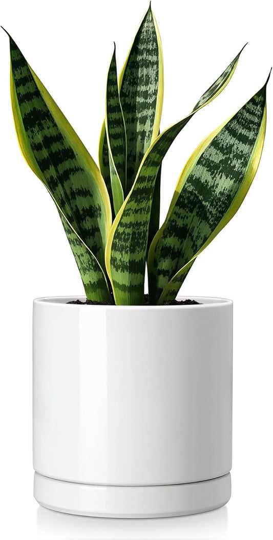vancasso Ceramic Plant Pots, 6.25 Inch Ceramic Pot for Plants, Planters Pots for Indoor Plants with Drainage Holes, Flower Pot for Indoor House Plant, White