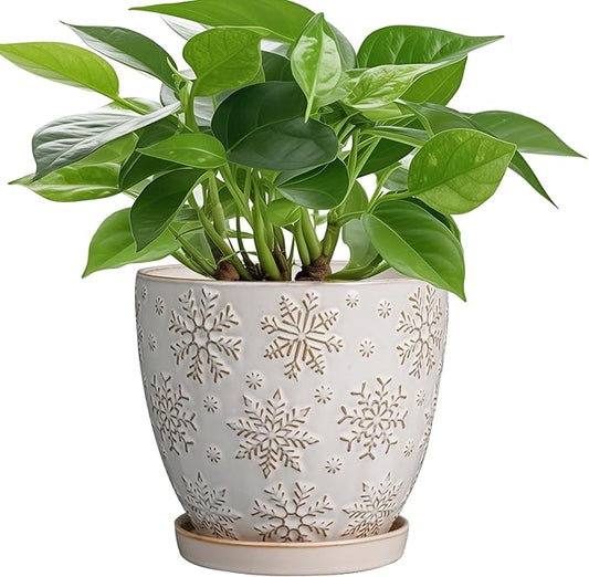 6.9 Inch Plant Pot with Drainage Hole and Saucer Ceramic Planter for Indoor Plant Flower Pot for Orchid Succulents Plants White