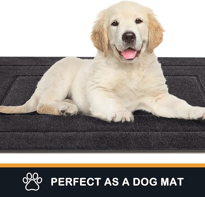 PURRUGS Dirt Trapping Door Mat 24" x 59", Non-Slip/Skid Machine Washable Entryway Rug, Dog Doormat, Super Absorbent Welcome Mat for Muddy Wet Shoes and Paws, Charcoal
