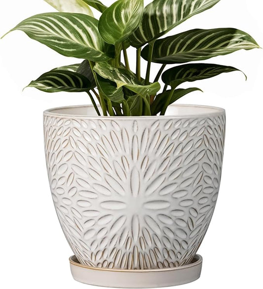 G EPGardening 6 Inch Plant Pot for Indoor Plants Outdoor Round Ceramic Planter Decorative Flower Pot with Drainage Hole and Saucer White