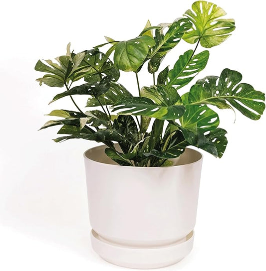 Elly Décor 8 inch Plastic Cylinder Planter Pot with Self-Watering Saucer and Drainage Hole,Lightweight & Extremely Durable, 8"x 8", White