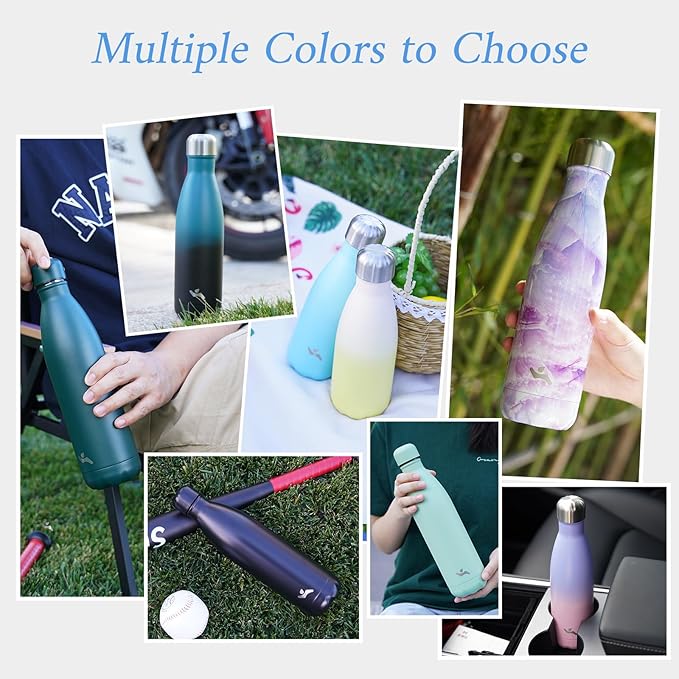 Insulated Water Bottles,17 oz Double Wall Stainless Steel Vacumm Metal Flask for Sports Travel,Indigo Black