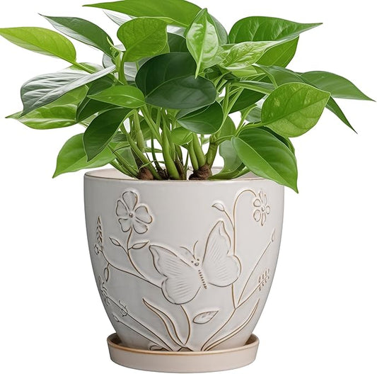 6 Inch Ceramic Plant Pot for Indoor Plants Outdoor Round Planter Flower Pot with Drainage Hole and Saucer for Home Garden Office Decor White