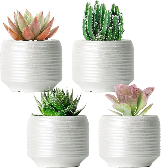 Mini Succulent Planter Set – 3.7 Inch Ceramic Pots with Drainage for Indoor Plants, Small Decorative Flower Pots for Cactus and House Plants, Set of 4