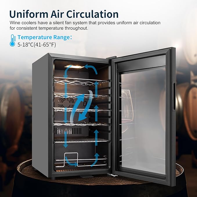 24 Bottles Wine Cooler Refrigerator, Small Wine Fridge Mini Wine Fridge Countertop with Glass Door Wine Cellars for Red Wine, Champagne, Dry White Wine, Sparkling Wines