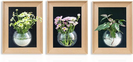 Natural Wooden Frame Wall Hanging Planter for Hydroponic Plants, 12'' x16''inch Wall Vase with Round Acrylic Propagation Station，Bathroom, Office, or Living Room Décor, Set of 3