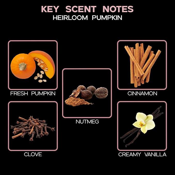 LOVSPA Reed Diffuser Set, Heirloom Pumpkim Scented Oil Diffuser with Sticks, Home Fragrance Accessories for Bathroom Shelf Decor, Aroma Diffusers for Home or Office Fall Decor, USA Made