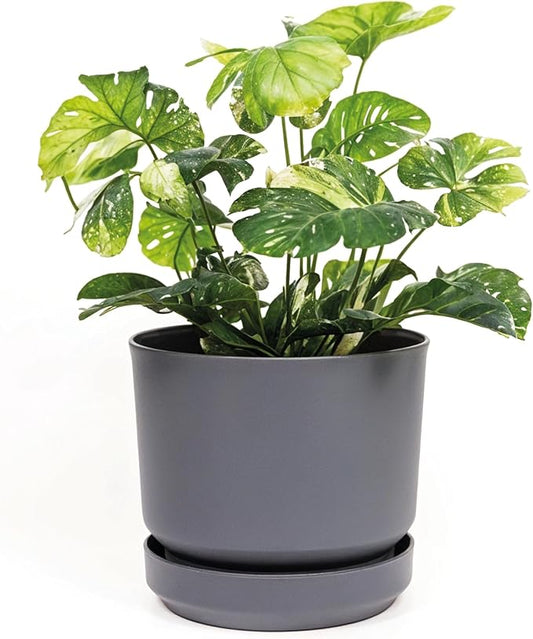 Elly Décor 10 inch Plastic Cylinder Planter Pot with Self-Watering Saucer and Drainage Hole,Lightweight & Extremely Durable, 10"x 10", Light Gray