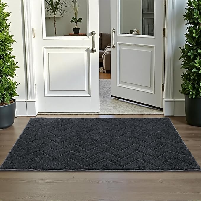 Stiio Dirt Trapper Door Mat 32x47 Inches, Front Doormat Indoor Outdoor Entrance Low Pile, All-Season, All-Weather Absorbent Entry Rug, Washable Non Slip Rug for Entryway, Dark Grey