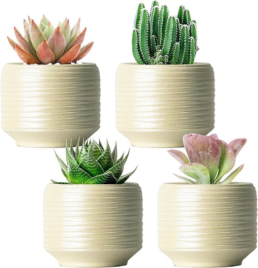 Mini Succulent Planter Set – 3.7 Inch Ceramic Pots with Drainage for Indoor Plants, Small Decorative Flower Pots for Cactus and House Plants, Set of 4