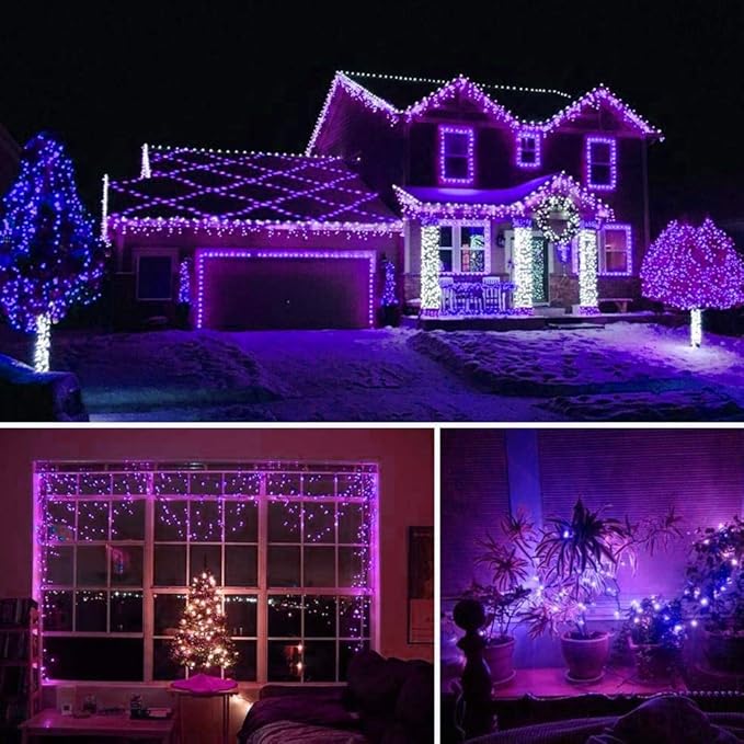 HOME LIGHTING 66ft Halloween Decorative Mini Lights, 200 LED Green Wire Fairy Starry String Lights Plug in, 8 Lighting Modes, for Indoor Outdoor Xmas Tree Wedding Party Decoration (Purple)