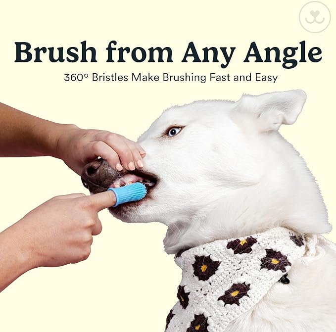 Jasper Dog Toothbrush, 360º Dog Tooth Brushing Kit, Cat Toothbrush, Dog Teeth Cleaning, Dog Finger Toothbrush, Use with Dog Toothpaste - Clear 2-Pack