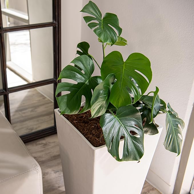 XBrand Modern 28-Inch Square Planter, Modern Tapered Planter Perfect for Indoor & Outdoor, Patio Décor, Set of 2