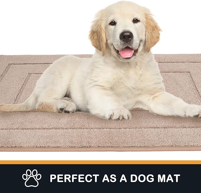 PURRUGS Dirt Trapping Door Mat 34" x 59", Non-Slip/Skid Machine Washable Entryway Area Rug, Dog Doormat, Super Absorbent Welcome Mat for Muddy Wet Shoes and Paws, Beige