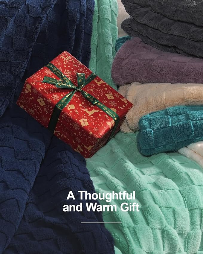 Pawque Super Soft Cozy Throw Blanket for Couch Bed - Fluffy Sherpa Fleece Reversible Thick Warm Fuzzy Blanket for All-Season, 3D Checkered Jacquard Elegant Decorative Blankets, Teal Green, 50" x 60"