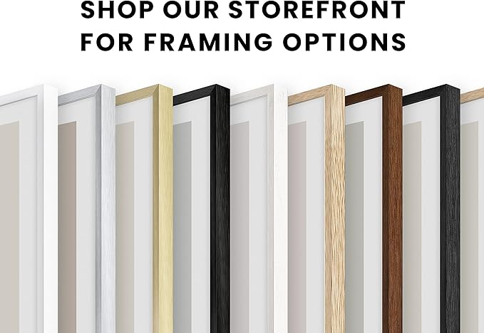 HAUS AND HUES White Aluminum Picture Frame 11x14 - Set of 6, Modern, White Aluminum Frames