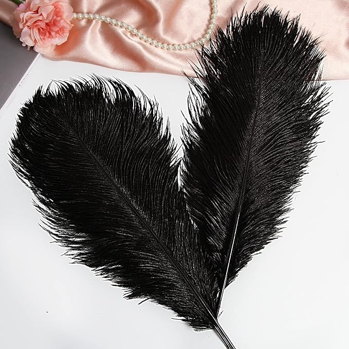THARAHT Black Ostrich Feathers 12pcs Large Natural Bulk 20-22Inch 50cm-55cm for Wedding Party Centerpieces Halloween and Home Decoration Feathers