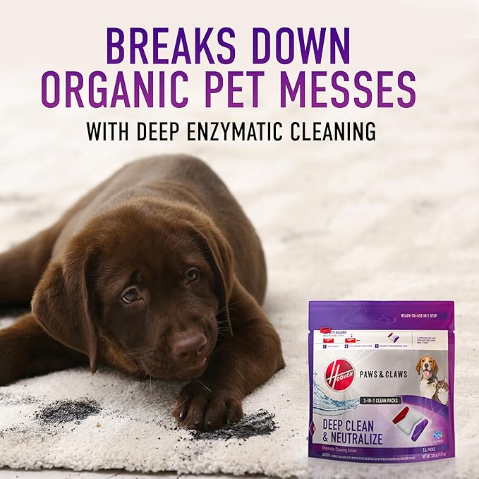 Hoover PowerDash Pet Compact Carpet Cleaner Machine, Lightweight Carpet Shampooer Machine, Pair with a Hoover Cleaner Solution for a Bright, Refreshed Home