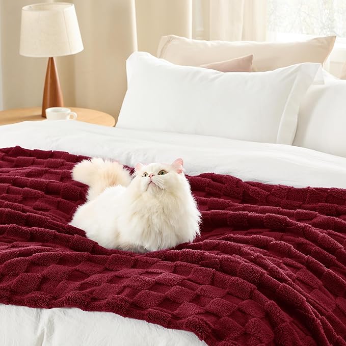 Bedsure GentleSoft Twin Blanket for Bed Red - Super Soft Cozy Blankets for Women Men Girls, Cute Fuzzy Fleece Throws for Bedroom Couch, 60x80 Inches