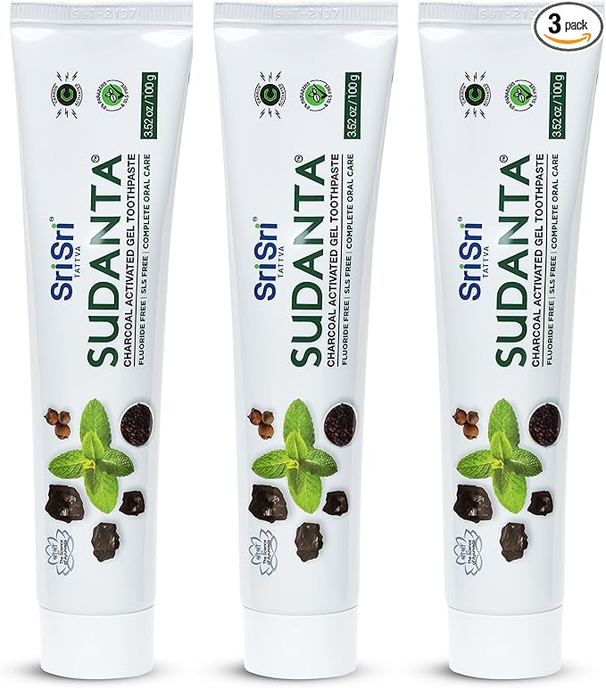 Sri Sri Tattva Sudanta Charcoal Toothpaste Gel – SLS, Fluoride Free Herbal Toothpaste with Neem & Ayurvedic Herbs – Natural Teeth Whitening, Fresh Breath, Oral & Gum Health – 100g Tube (Pack of 3)