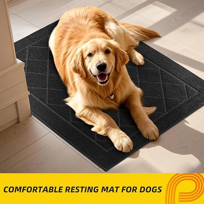 JSEI Dirt Trapper Door Mat 20"x32", Non-Slip Washable Entryway Mats, Dog Door Mat, Stain Resistant and Absorbent Floor Mats, Low Profile Welcome Mat for Front Back Door, Black