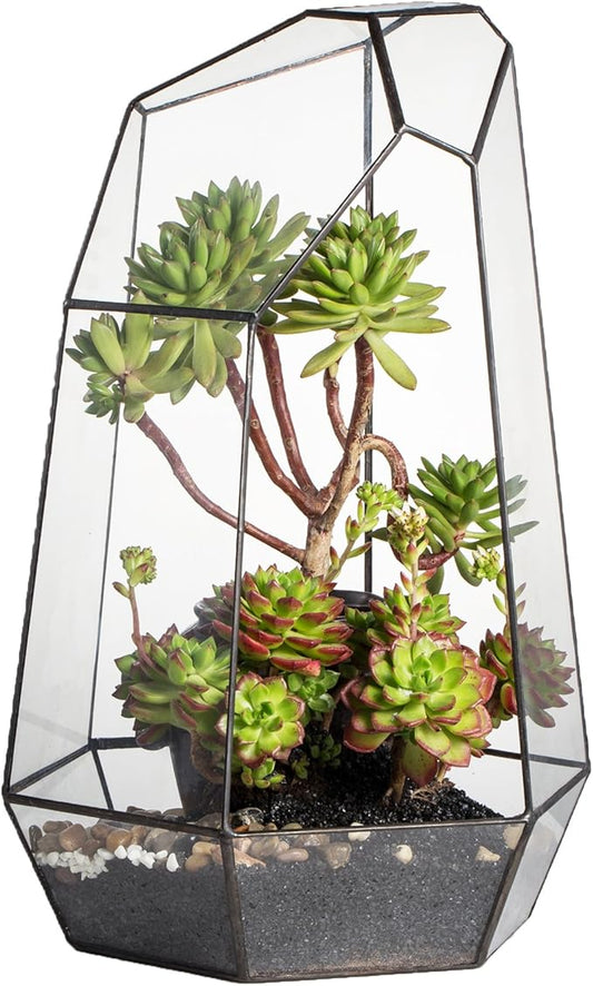 NCYP Large Geometric Terrarium - 16 Inches Tall Irregular Open Glass Terrarium Pot - Home Garden Tabletop Decoration Planter for Air Plants Succulents, Handmade (NO Plants, No Door)