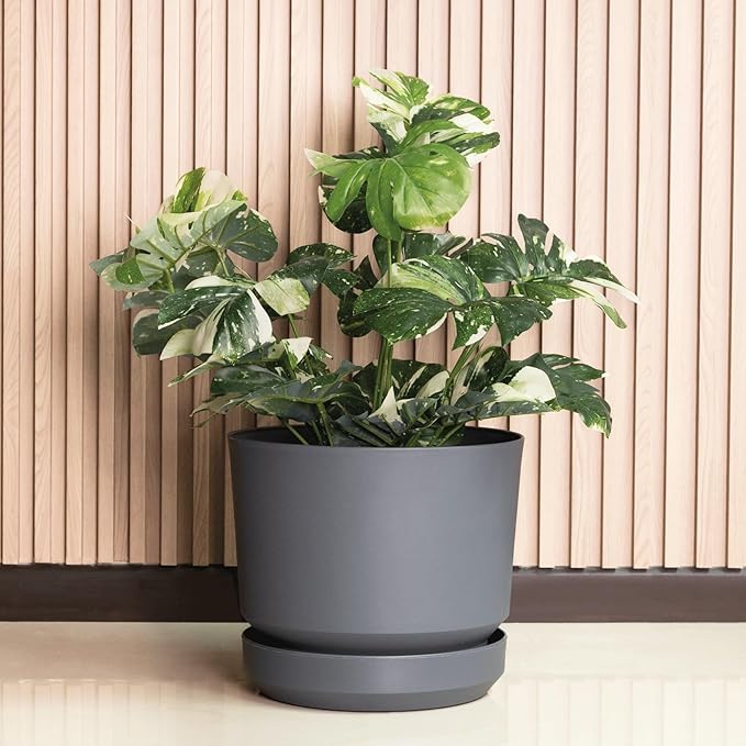 Elly Décor 10 inch Plastic Cylinder Planter Pot with Self-Watering Saucer and Drainage Hole,Lightweight & Extremely Durable, 10"x 10", Light Gray
