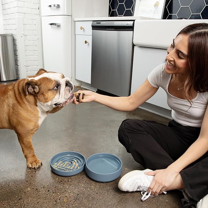 The Slowdown Bowl Silicone Slow Feeder for Dogs & Puppies, Slow Eating, Modern Lick Mat Design, Reduces Gulping, Fits 2 Cups 7.5” Across x 1.5” Tall, Mealtime Challenge, Medium-Sage