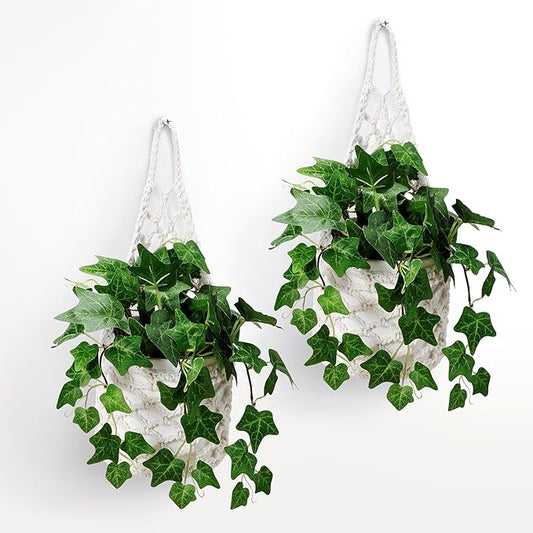 2PK Wall Planters for Indoor Plants, Macrame Plant Hanger | Wall Planter, Plant Hanger, Hanging Planter (2PK, for 6 inch Pot)