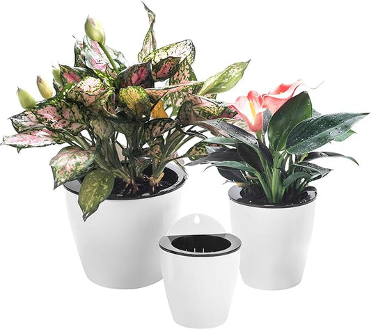 3 Pack Self Watering Wall Hanging Planter Pots Vertical Garden Window Hang Mount Indoor Outdoor Plant Flower Basket for Kitchen Herbs Balcony Railing Shelf Fence Bedroom Trellis Decor Modern White Box
