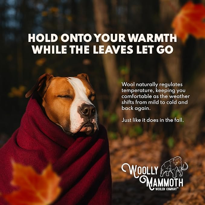 Woolly Mammoth Woolen Company Camping Wool Blanket - 66 in x 90 in Black & Cream Plaid - Heavyweight Merino Wool Outdoor Throw Blanket & Bedroll - Insulating Warm for Winter, Picnic & Travel