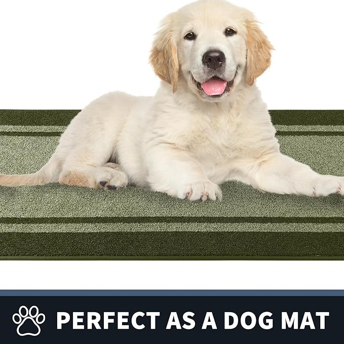 PURRUGS Dirt Trapping Door Mat 24" x 70", Non-Slip/Skid Machine Washable Entryway Rug, Shoes Scraper, Area Rug, Super Absorbent Welcome Mat for Muddy Wet Shoes and Paws, Budding Green & Sage Green