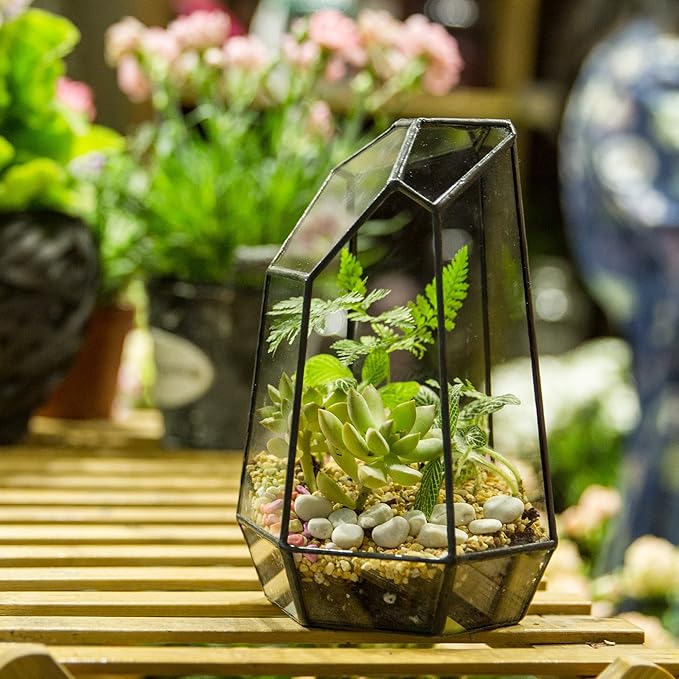 NCYP Small Glass Geometric Terrarium - 4.9 x 3.9 x 7.4 Inches Irregular Clear Planter Pot for Succulents, Cactus, Indoor Garden Tabletop Decoration, Centerpiece (No Plants, No Door)