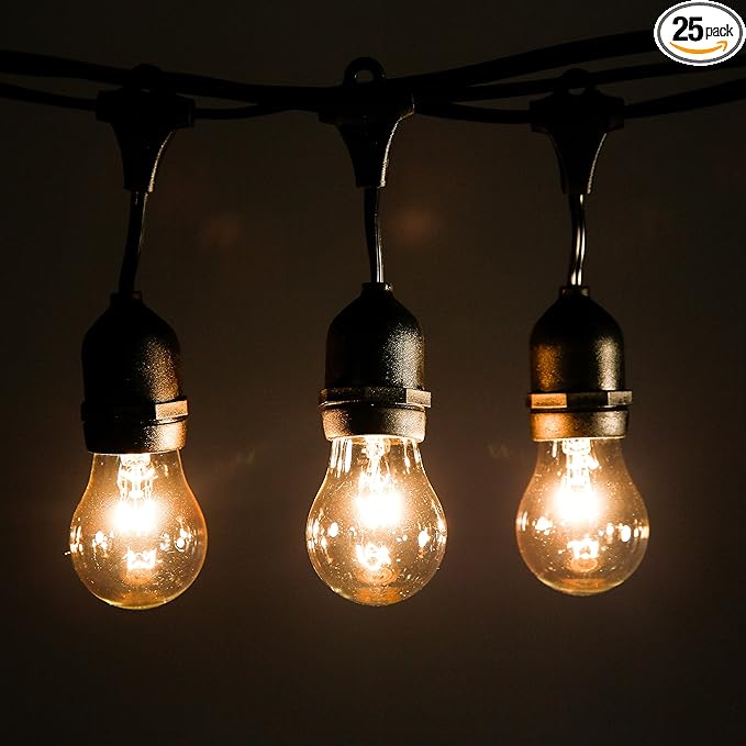 Hometown Evolution, Inc. 50 Foot E26 Outdoor Commercial String Lights with Suspended Socket for Weatherproof Heavy Duty Vintage Outside Lighting - Set of 25 A15 Clear Bulbs