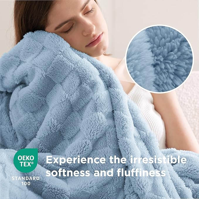 Bedsure GentleSoft Twin Blanket for Bed Light Blue - Super Soft Cozy Blankets for Women Men Girls, Cute Fuzzy Fleece Throws for Bedroom Couch, 60x80 Inches